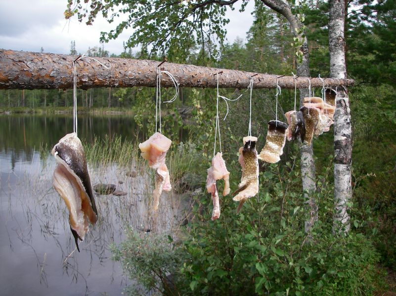 ������ 2010