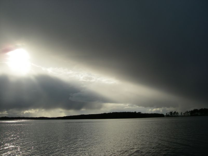 ������ 2010