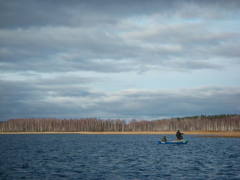 ��������...����� 2010.