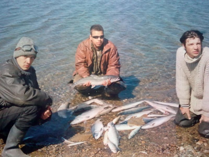 � ����� ���