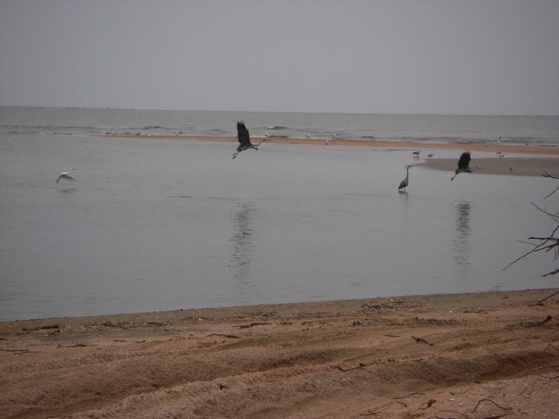 . 2011.