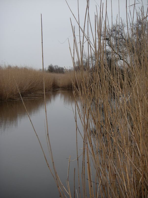 ������.������ 2011.