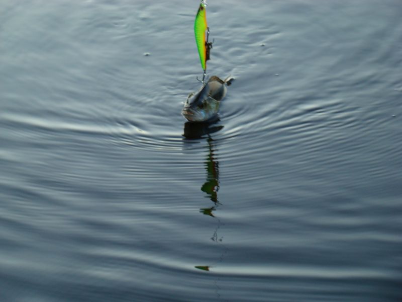 ��� �����.