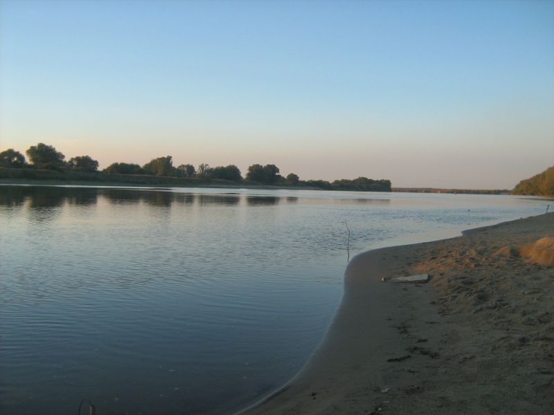  475.jpg