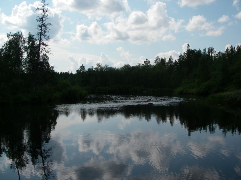  2011.
