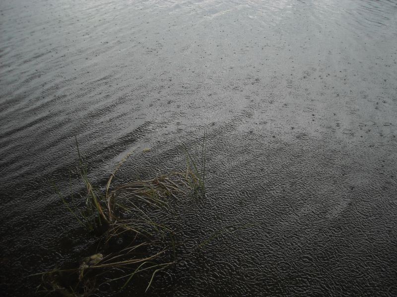 DSCN9633.JPG
