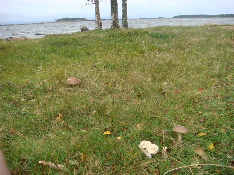 DSC05836.JPG