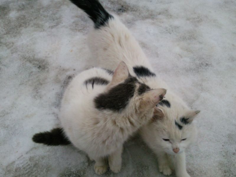 ��������