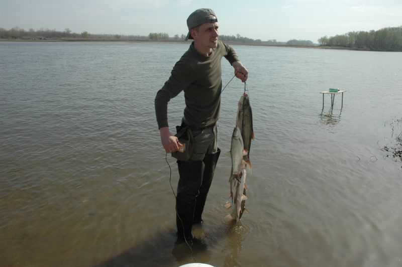 � ��� � ���������