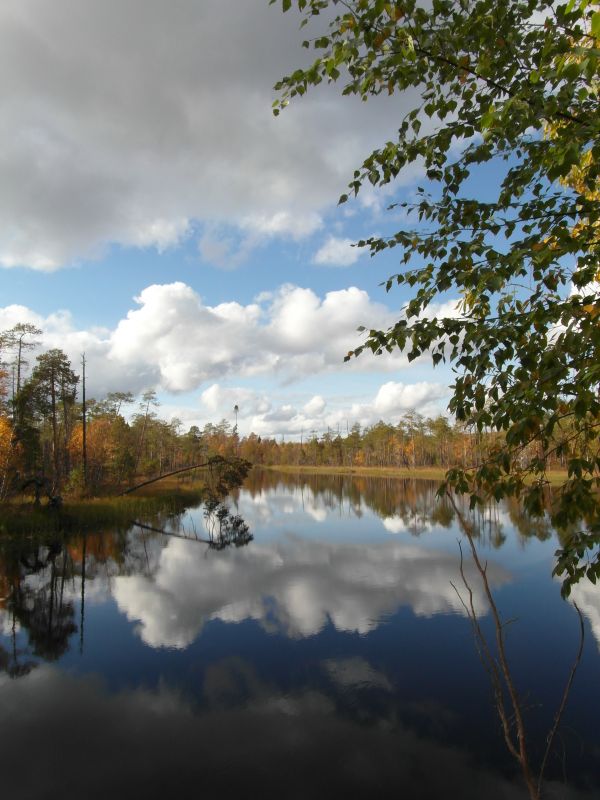 ����� 2012