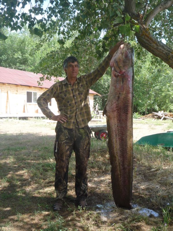 ���� ��� 60 ��,�������