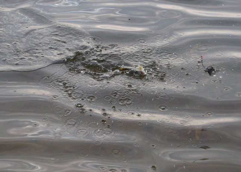 �� �����...