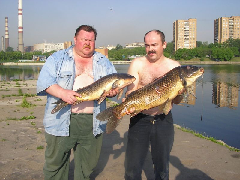 Рыбалка на реке