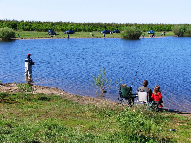 Рыбалка в оренбургской области вконтакте. Озеро Карпо-Карасево Гостилицы. Рыбалка летом. Место для рыбалки. Рыбалка на пруду.