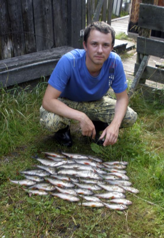 Рыбное в дмитровском районе